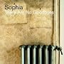There Are No Goodbyes (Ltd.Digi inkl. Live-Konzert)