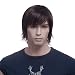 Songmics Neu Perücke Haar Wigs Männlich Glatt Braun Kurz 29 cm WMF014