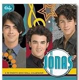 Jonas Brothers -- Jonas 2010 Wall Calendar