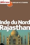 Inde du Nord - Rajasthan 2011 (avec a...