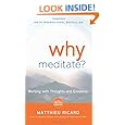 Why Meditate: Working with Thoughts and Emotions