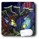 Steve Shachter Art - CARIBBEAN REEF - Mouse Pads