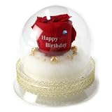メッセージローズ (Preserved Rose) ローズドーム S1~情熱のラブジャック アトミック~レッド 【バースデイストーン☆3月】【Happy Birthday】 22230