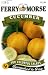 Ferry-Morse 1275 Cucumber Seeds, Lemon (1.75 Gram Packet)