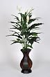 Artificial Spathphyllum in Rattan