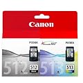 2 Cartouches Canon (1 x PG 512 noir, 1 x CL 513 couleur)