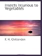 Insects injurious to vegetables