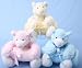 Shaggy Bear 25cm With Fleece Blanket (GI3587)