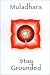 Muladhara Chakra Magnet