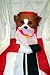 Windsport Bulldog Windsock by Ganz 57 Long