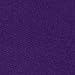 Hanes Girls Comfortsoft Ecosmart Jogger Pants, Purple Thora, Medium US