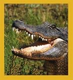 Alligator Bookmark