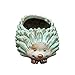 VORCOOL Hedgehog Flower Pot Animal Shaped Succulent Planter Pot Desktop Resin Pot for Garden Balcony