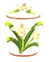 ORCHID 3-Dimensional Cookie Jar *NEW!*