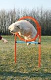 Eigenschaften Trixie  / Agility Ring, 115 x ø 3 cm, ø 65 cm