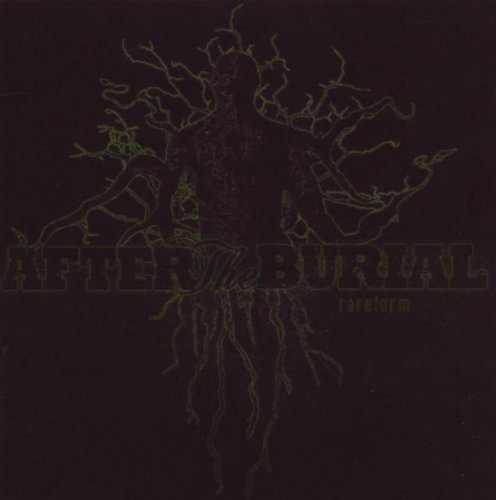 After The Burial Foto