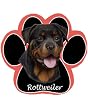 Rottweiler Dog Paw Mouse Pad