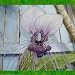 Bat Flower 