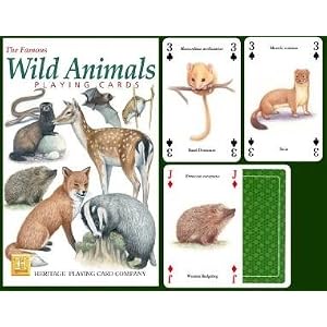 Woodland Creatures Cards