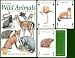Wild Animals Playing Cards