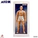 Go Hero ATOMedia 12 Inch Figure Body_s-2