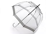 Fulton Birdcage Clear Dome Umbrella Silver - New Frame!