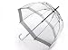 New Frame! Clear Dome Fulton Umbrella Silver
