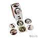 Realistic Cat Stickers (Roll of 100) – 1.5” Round, 6 Cute Photos - Great for Kids, Teachers, Party Favors, Rewards, Craft Projects, Water Bottles, Scrapbooks, Calendars, Planners, and Journals