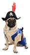 Pirate Pup Halloween Costume Extra Large Dog Costume [Misc.]