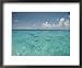 Bikini Atoll Healed from Nuclear Testing and is Now Teeming with Life, Notably the Gray Reef Shark Framed Art Poster Print by Bill Curtsinger, 22x18