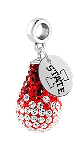 Iowa State Cyclones Crystal Dangle Charm - Fits All Bracelets