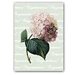 Hortensia w/ Mint Green Congratulations - 5" x 7" Vellum Overlay Greeting Card