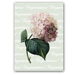Hortensia w/ Mint Green Congratulations - 5" x 7" Vellum Overlay Greeting Card