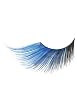 Blue/Black Extra Long Eyelashes (As Shown;One Size)