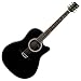 Hudson SB-2 Bowl/Roundback Electro-Acoustic Guitar Pack