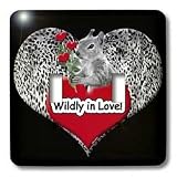 Doreen Erhardt Wildlife - Wildly in Love Squirrel with Roses, Red Heart and Cheetah Print - Light Switch Covers - double toggle switch