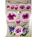 Plaid One Stroke Teaching Guide Cabbage Rose Image