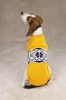 XX-LARGE - Nordic Dog Sweater & Scarf