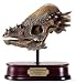 Pachycephalosaurus Skull Model
