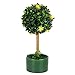 GIA Trees, Small,6.0 Tall,2.4W×2.4L, Black