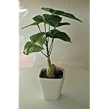 ���i�̏ڍ�