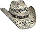Bullhide Montecarlo Girl Next Door Painted Toyo Straw Western Hat Large