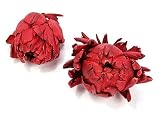 Eigenschaften KnorrPrandell / Gütermann / KnorrPrandell 6491021 - Blumen getrocknet rot, 2 Stück/Beutel