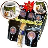 Cats - Kitten and Duck - Coffee Gift Baskets - Coffee Gift Basket