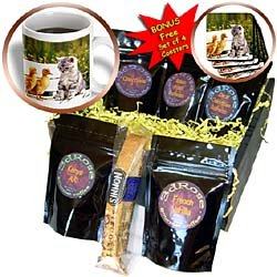 Cats - Kitten and Duck - Coffee Gift Baskets - Coffee Gift Basket by 3dRose LLC