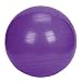 Sunny Health & Fitness Exercise Ball, 65 CM