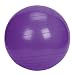 Sunny Health &amp; Fitness Exercise Ball, 65 CM
