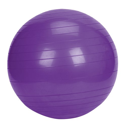 HealthPersonalCare: Sunny Health & Fitness Exercise Ball, 65 CM