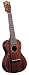 Hamano H-100 Vintage 1920 Style Concert Ukulele (Mahogany/Rosewood)