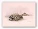 Last Days by Howard Burger 11"x14" Art Print Poster